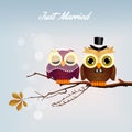 Wedding owls