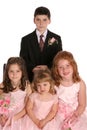 Wedding party kids far Royalty Free Stock Photo