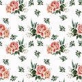 Pattern with roses Royalty Free Stock Photo