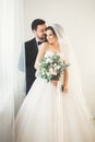 Wedding photo shoot of the newlyweds couple in a beautiful hotel posing near window Royalty Free Stock Photo