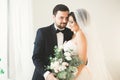 Wedding photo shoot of the newlyweds couple in a beautiful hotel posing near window Royalty Free Stock Photo