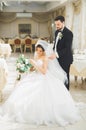 Wedding photo shoot of the newlyweds couple posing in a beautiful hotel Royalty Free Stock Photo