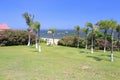 Wedding photography on meadow near beach