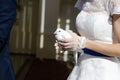 Wedding pigeons in hands Royalty Free Stock Photo