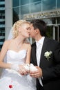 Wedding pigeons in hands of the groom Royalty Free Stock Photo