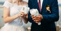 Wedding pigeons in hands of the groom and the bride Royalty Free Stock Photo