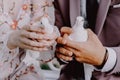 Wedding pigeons in the hands of the newlyweds Royalty Free Stock Photo