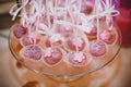 Wedding pink cake pops on plate Royalty Free Stock Photo