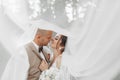 Wedding portrait of the bride and groom. Happy bride and groom gently hug each other under the veil, pose and kiss. Royalty Free Stock Photo