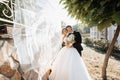 Wedding portrait. The groom in a black suit and the blonde bride in a white dress Royalty Free Stock Photo