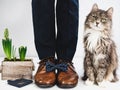 Groom, rings, flower, bow tie and cute kitten