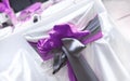 Wedding purple bow Royalty Free Stock Photo