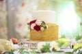 Wedding reception cake on decorated table. Royalty Free Stock Photo