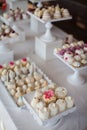 Wedding reception dessert table with delicious decorated white c