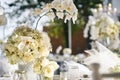 The white cream roses, orchids decoration on the reception dinner table, flowers, Floral - closed up Royalty Free Stock Photo