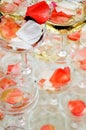 Wedding reception overview Royalty Free Stock Photo