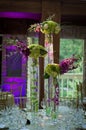 Wedding reception with purple uplighting Royalty Free Stock Photo