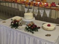 Wedding reception set-up with all table arrangements for bridal party and guests