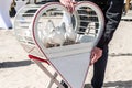 wedding releasing white doves on a sunny day in a cage Royalty Free Stock Photo