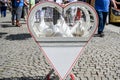 wedding releasing white doves on a sunny day in a cage Royalty Free Stock Photo