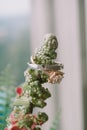 Wedding ring on an artificial plant stem, blending love with nature's charm Royalty Free Stock Photo