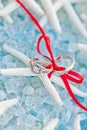 Wedding ring and band on a sea star Royalty Free Stock Photo