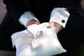 Wedding Ring Bearer Royalty Free Stock Photo