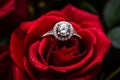 Wedding ring with diamond on a red rose with water droplets. Close up Royalty Free Stock Photo