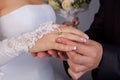 Wedding ring exchange Royalty Free Stock Photo