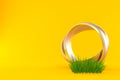 Wedding ring on grass Royalty Free Stock Photo
