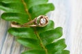 Wedding ring on a green branch Royalty Free Stock Photo