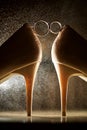 Wedding ring between high-heeled shoes on the black bachground and splashing water drops Royalty Free Stock Photo