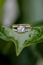 Wedding Ring on Large Plant Leaf Royalty Free Stock Photo
