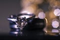 Wedding Ring Macro Royalty Free Stock Photo