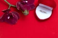 Wedding ring in a red box and red orchid on red background. Valentine's Day. Royalty Free Stock Photo