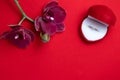 Wedding ring in a red box and red orchid on red background. Valentine's Day. Royalty Free Stock Photo