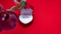 Wedding ring in a red box and red orchid on red background. Valentine's Day. Royalty Free Stock Photo