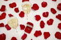 Wedding ring red box surrounded by rose petals. An offer of marriage. Engagement party Royalty Free Stock Photo