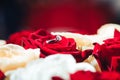 Wedding ring on rose petals. Dark background Royalty Free Stock Photo