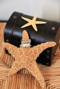 Wedding ring set with starfish, in beach-themed ceremony