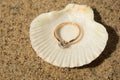 Wedding ring in a shell Royalty Free Stock Photo