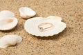Wedding ring in a shell Royalty Free Stock Photo