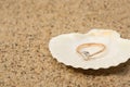 Wedding ring in a shell Royalty Free Stock Photo