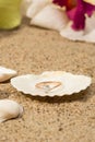 Wedding ring in a shell Royalty Free Stock Photo