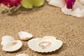 Wedding ring in a shell Royalty Free Stock Photo