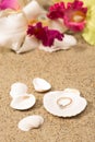 Wedding ring in a shell Royalty Free Stock Photo