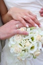 Wedding rings Royalty Free Stock Photo