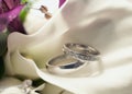 Wedding rings