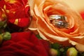 Wedding rings Royalty Free Stock Photo