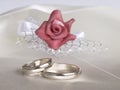 Wedding rings Royalty Free Stock Photo